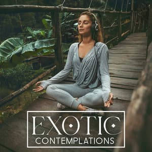 Exotic Contemplations - Exotic Nature Kingdom