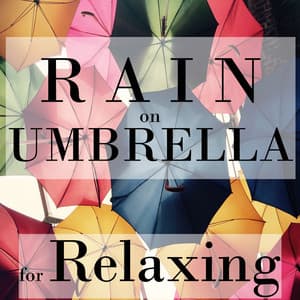 Rain on Umbrella for Relaxing - Rain Sounds & Nature Sounds