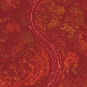 Backdrop for Unique Thoughts - Cool No Drums Jazz - Music for Retail Greats