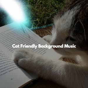 Cat Friendly Background Music - Mellow Jazz Beats