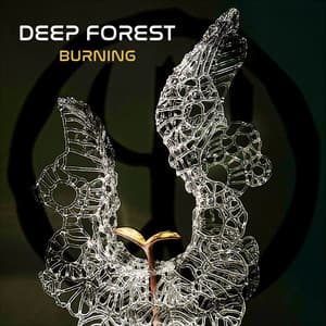 Burning - Deep Forest