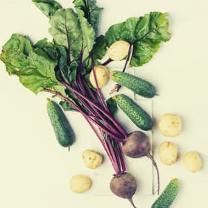 Mind-blowing Background for Fresh Cooking at Home - Música de Trabajo Ambiente