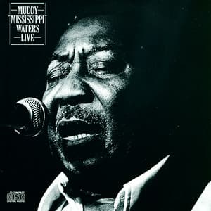 Live - Muddy Waters