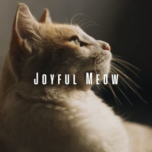 Joyful Meow: Cats Binaural Happiness - Lazers binaurales