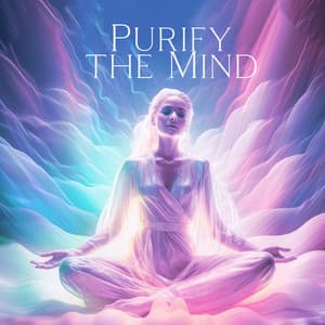 Purify the Mind: Music to Take Care of Your Mind, Tranquil Relaxation - Zen Meditation Music Academy