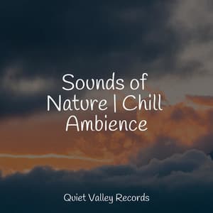 Sounds of Nature | Chill Ambience - Oasis de Détente et Relaxation
