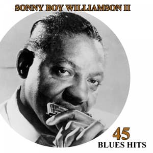 45 Blues Hits - Sonny Boy Williamson II