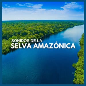 Sonidos de la Selva Amazónica - Sonidos De La Selva