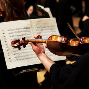 Symphony of Silence: Peaceful Orchestra Sounds - Jason Humphries