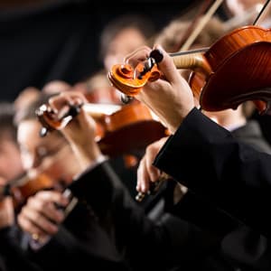 Orchestra of Calm: Serene Night Music - Eloy Perez