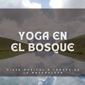 Yoga En El Bosque: Viaje Musical A Través De La Naturaleza - Sonidos relajantes de la selva tropical