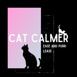 Ease and Purr-lease: Simple Calming Rain - Cat Calmer