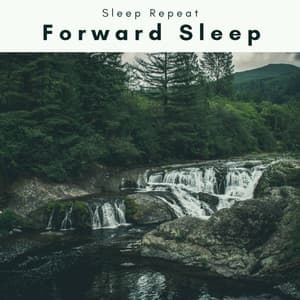 2022 Forward Sleep - Sleep Repeat