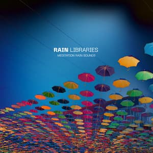 Rain Libraries - Meditation Rain Sounds