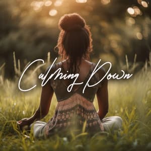 Calming Down - Melisa Depth