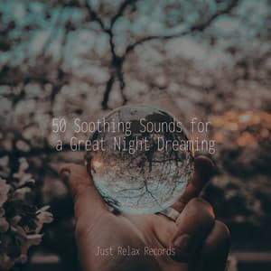 50 Soothing Sounds for a Great Night Dreaming - Relajacion Del Mar