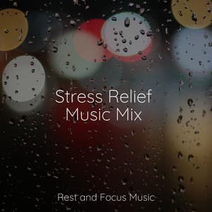 Stress Relief Music Mix - Deep Focus