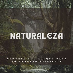 Naturaleza: Armonía del Bosque para un Trabajo Eficiente - Naturaleza del norte