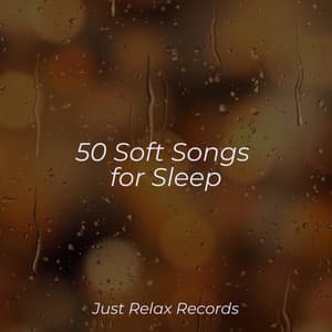 50 Soft Songs for Sleep - Pro Sound Effects Library