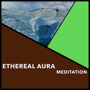 Ethereal Aura Meditation - Reiki Collective