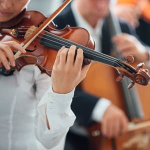 Serene Symphony: Orchestra for Sleep - Charles Anderson