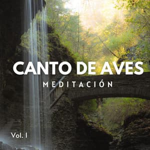 Meditación: Canto De Aves En Un Río Tranquilo Vol. 1 - Sonidos De Agua