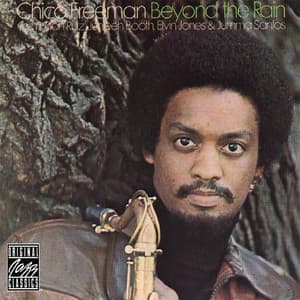 Beyond The Rain - Chico Freeman