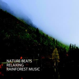 Nature Beats: Relaxing Rainforest Music - Forest Sounds