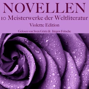 Novellen: Zehn Meisterwerke der Weltliteratur - Edgar Allan Poe