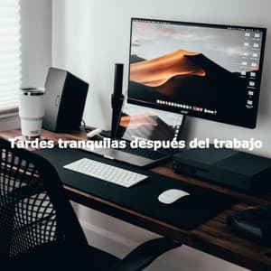 Tardes tranquilas después del trabajo - Música para Concentrarse
