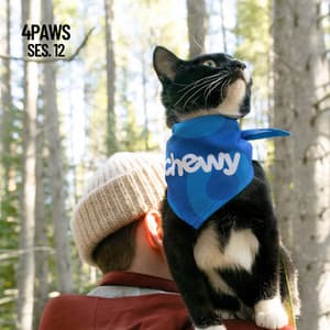 4 Paws, Sleeping Music for Dogs and Cats Session 12 - Dog Music Legends