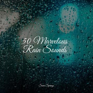 50 Marvelous Rain Sounds - Yoga Trainer