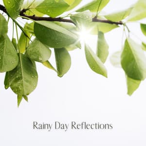 Rainy Day Reflections - Calming Chords