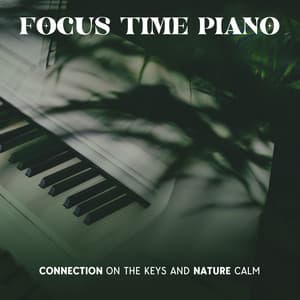 Focus Time Piano: Connection on the Keys and Nature Calm, Easy Listening Piano, Study, Concentration, Rest and Relaxation Music - Classical Piano Academy