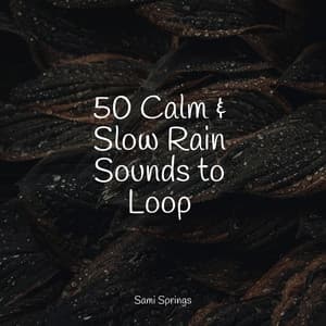 50 Calm & Slow Rain Sounds to Loop - Brain Study Music Guys