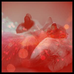 Music for Home Cats - Trumpet and Alto Sax - Cat Music Relaxation