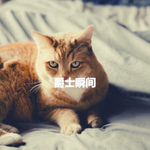 爵士瞬间 - Easy Dinner Music