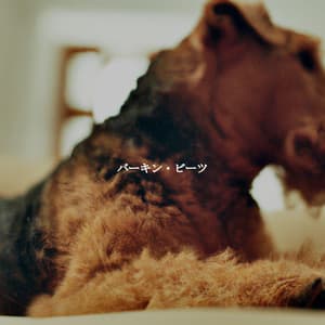 バーキン・ビーツ - Classic Jazz Music