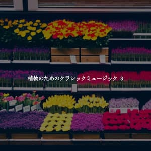 植物のためのクラシックミュージック 3 - Dinner Table Jazz Dream