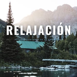 Relajación: Pájaros Cantores De La Corriente Vol. 1 - Acústica de la Naturaleza