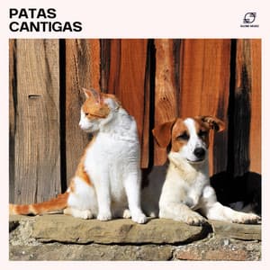 Patas Cantigas - Música para Cachorros