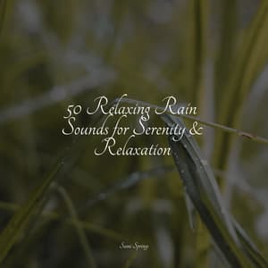 50 Relaxing Rain Sounds for Serenity & Relaxation - Sleep Songs 101
