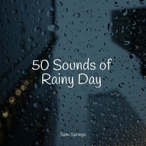 50 Sounds of Rainy Day - Natural Sounds