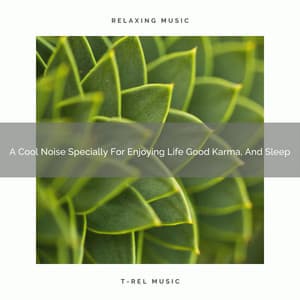 A Cool Noise Specially For Enjoying Life Good Karma, And Sleep - Sweet Baby Dreams & Noises