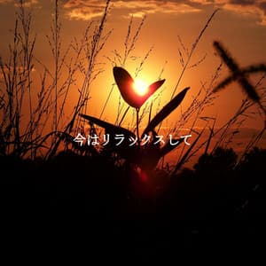 今はリラックスして - Deluxe Elevator Music