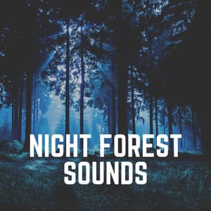 Night Forest Sounds - Sounds of the Forest