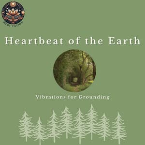 Sacred Groves: Mystical Melodies Among the Trees - Medi Tation