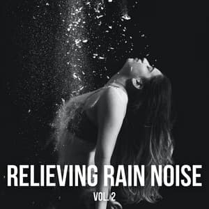 Relieving Rain Noise Vol. 2 - The Meditation Music Legends