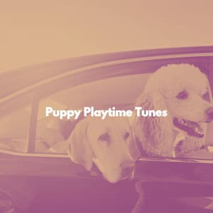 Puppy Playtime Tunes - Dogs at Home