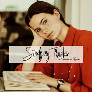 Studying Tracks for Homework and Reading - Study New Age Counter Display